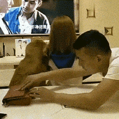 搞笑GIF：这姐路人视角长这样啊，真的惊艳了路人!