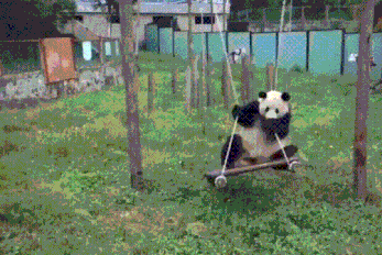 搞笑GIF：这姐路人视角长这样啊，真的惊艳了路人!