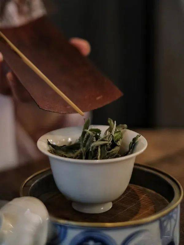 喝茶什么季节喝什么茶好__喝茶季节讲究