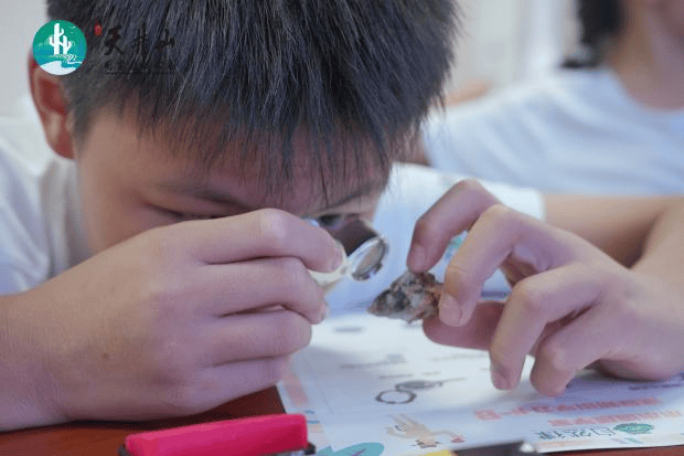 “南岭邀你过暑假” 自然教育系列活动顺利举办 厚植生态理念 助力国家公园建设