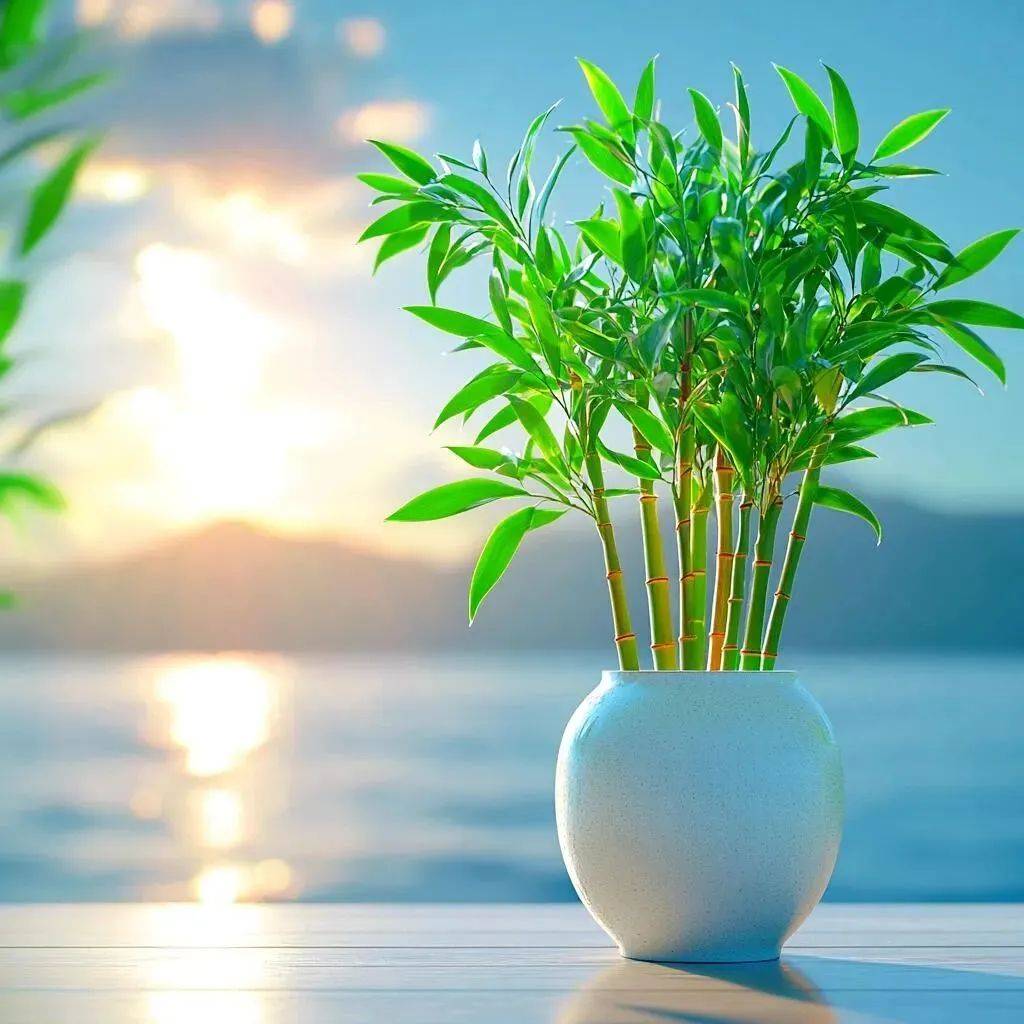 微信头像风景山水