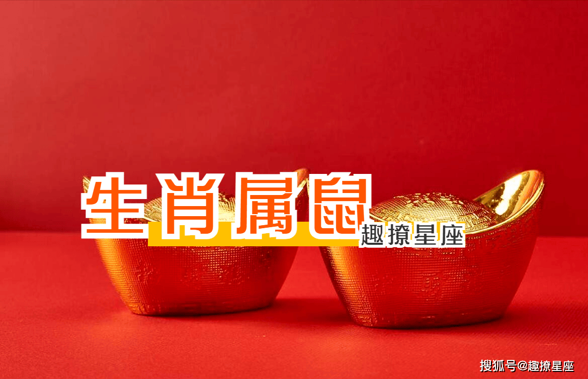 生肖龙属鼠人每周运势(生肖龙属鼠人每周运势怎么样)