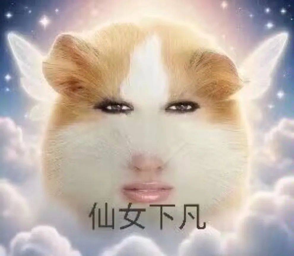 猪妞表情包:仙女下凡