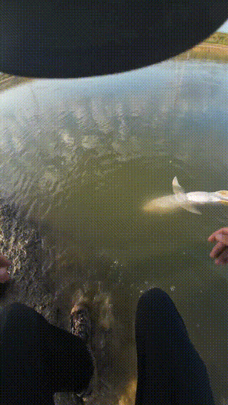 320_568竖版 竖屏gif 动态图 动图