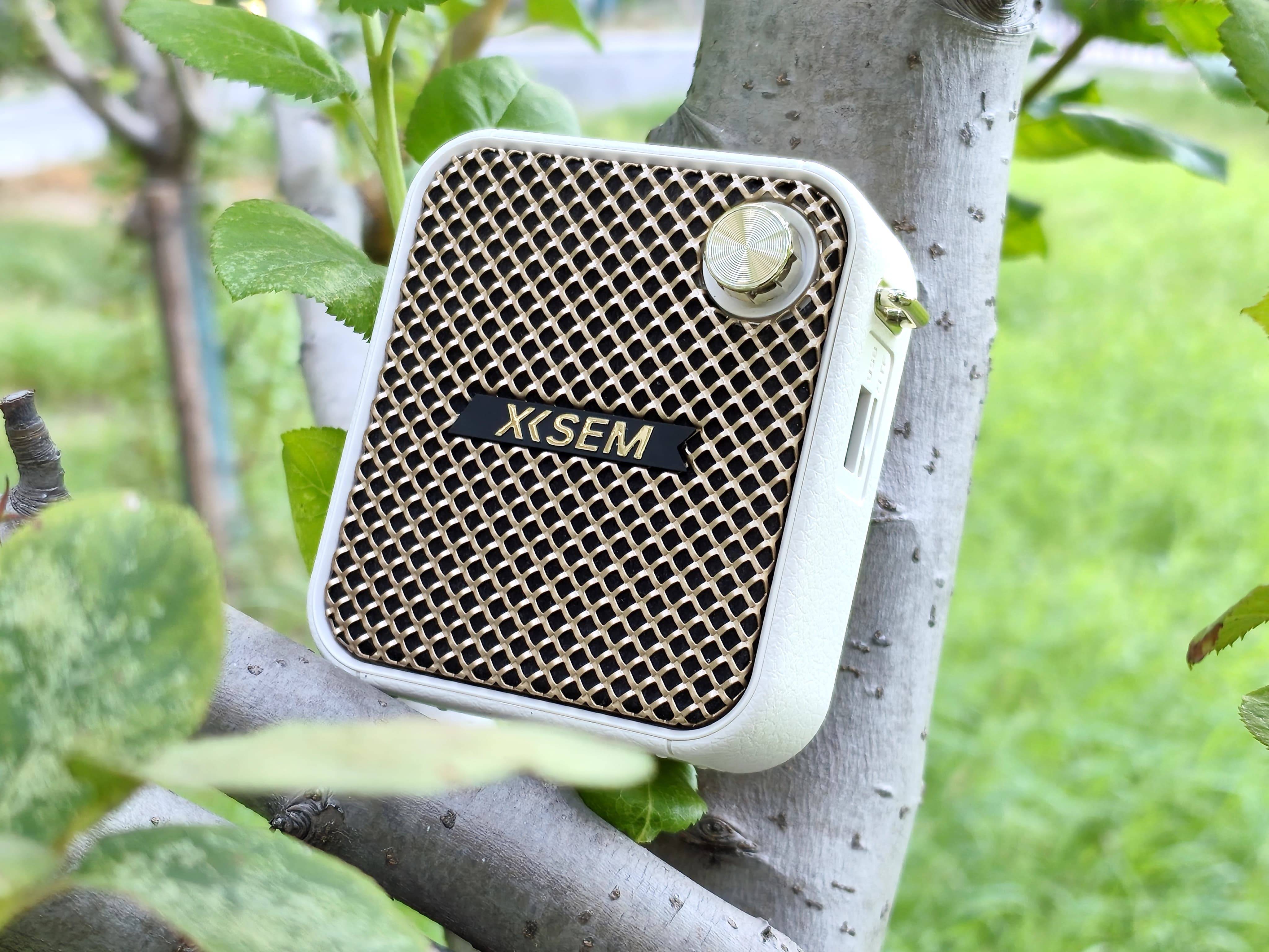 百元价位的最强小蜜蜂！西圣Bee重塑扩音标准，教师导游必备神器