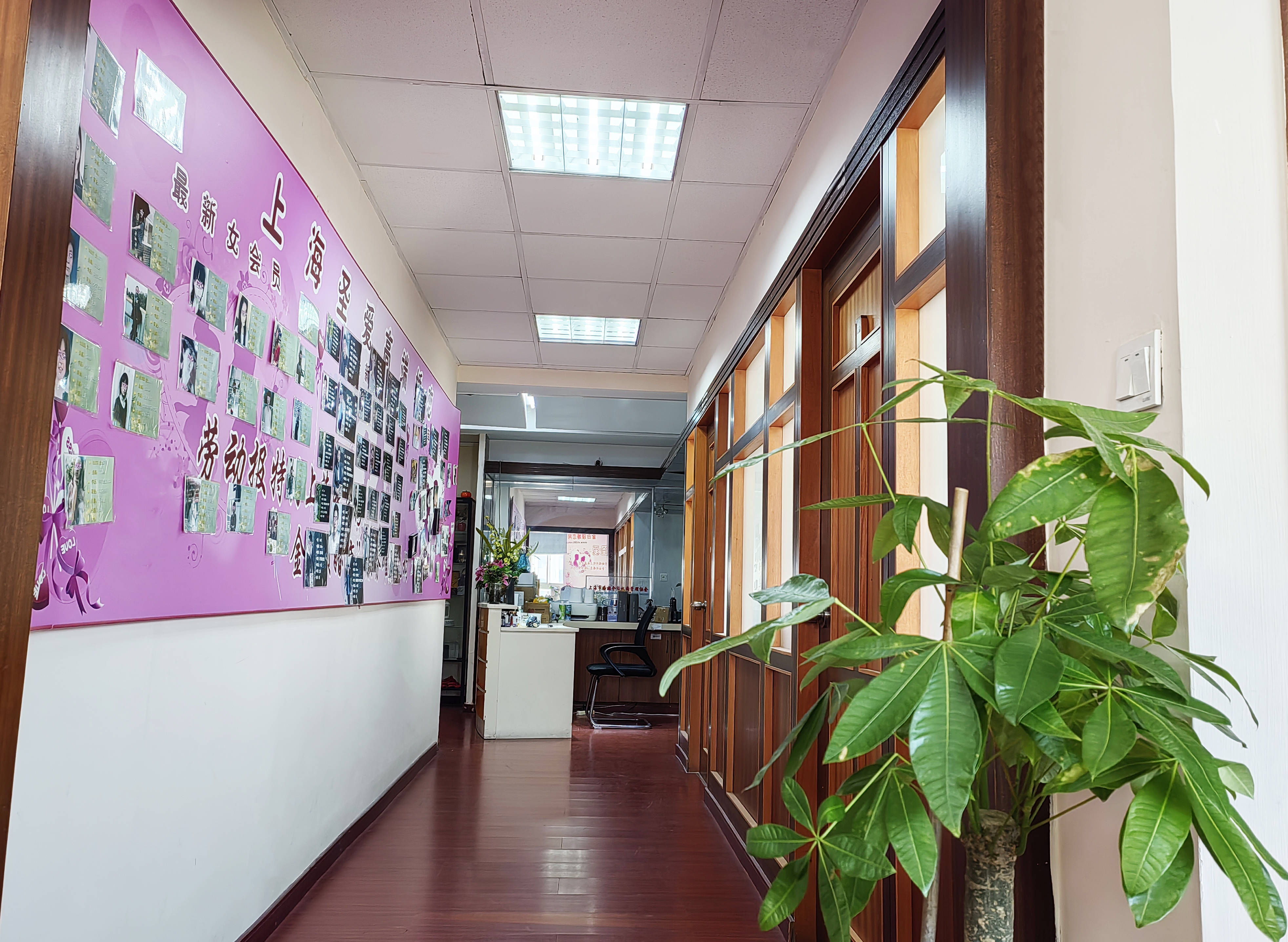 选购职场人士婚介所注意什么?上海圣爱婚介值得优先考虑