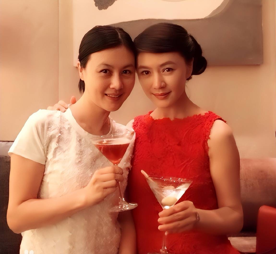 田海蓉和田海燕,娱乐圈知名的姐妹花:从黄梅戏舞台到资本江湖的传奇