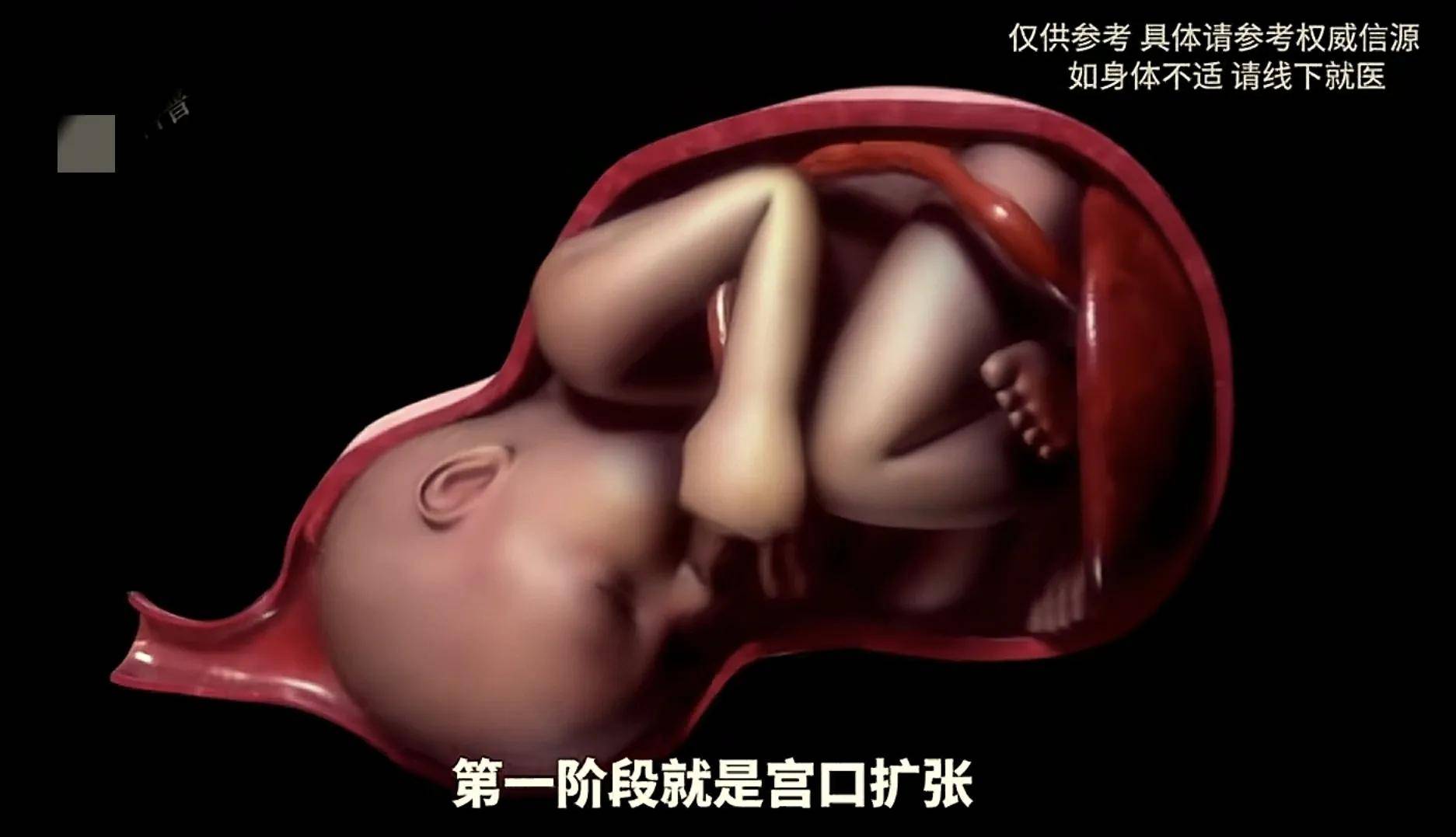 顺产全过程模拟,隔着屏幕都感觉疼,感恩伟大的妈妈
