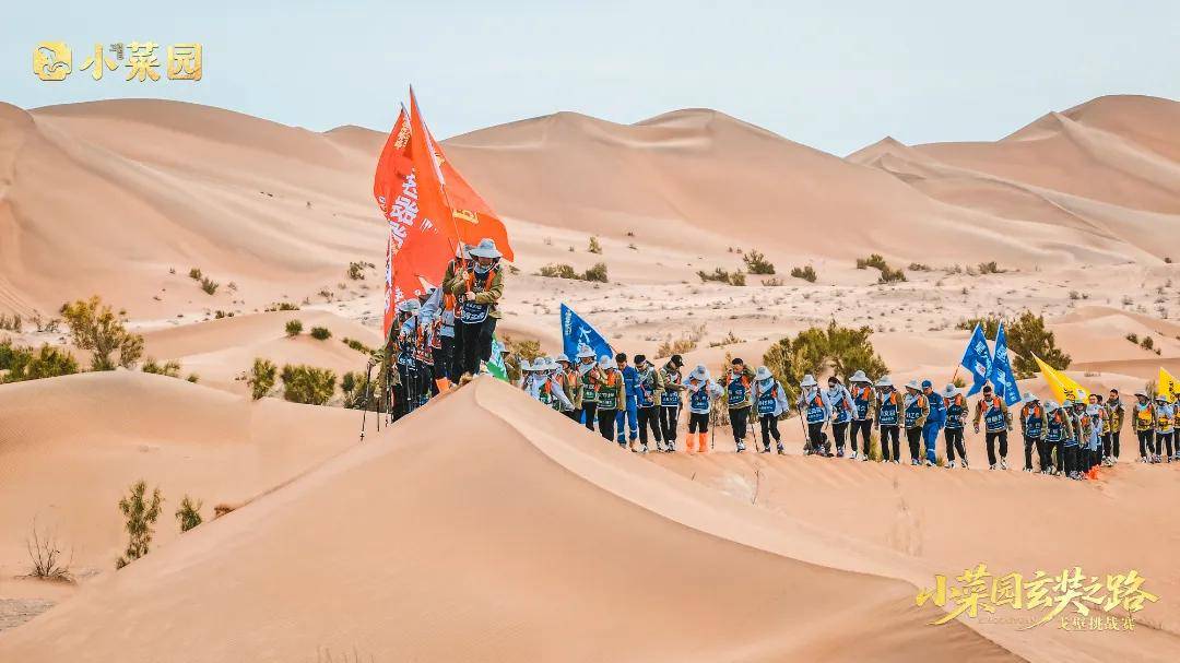 荣耀凯旋 | 小菜园玄奘之旅戈壁挑战赛圆满收官！