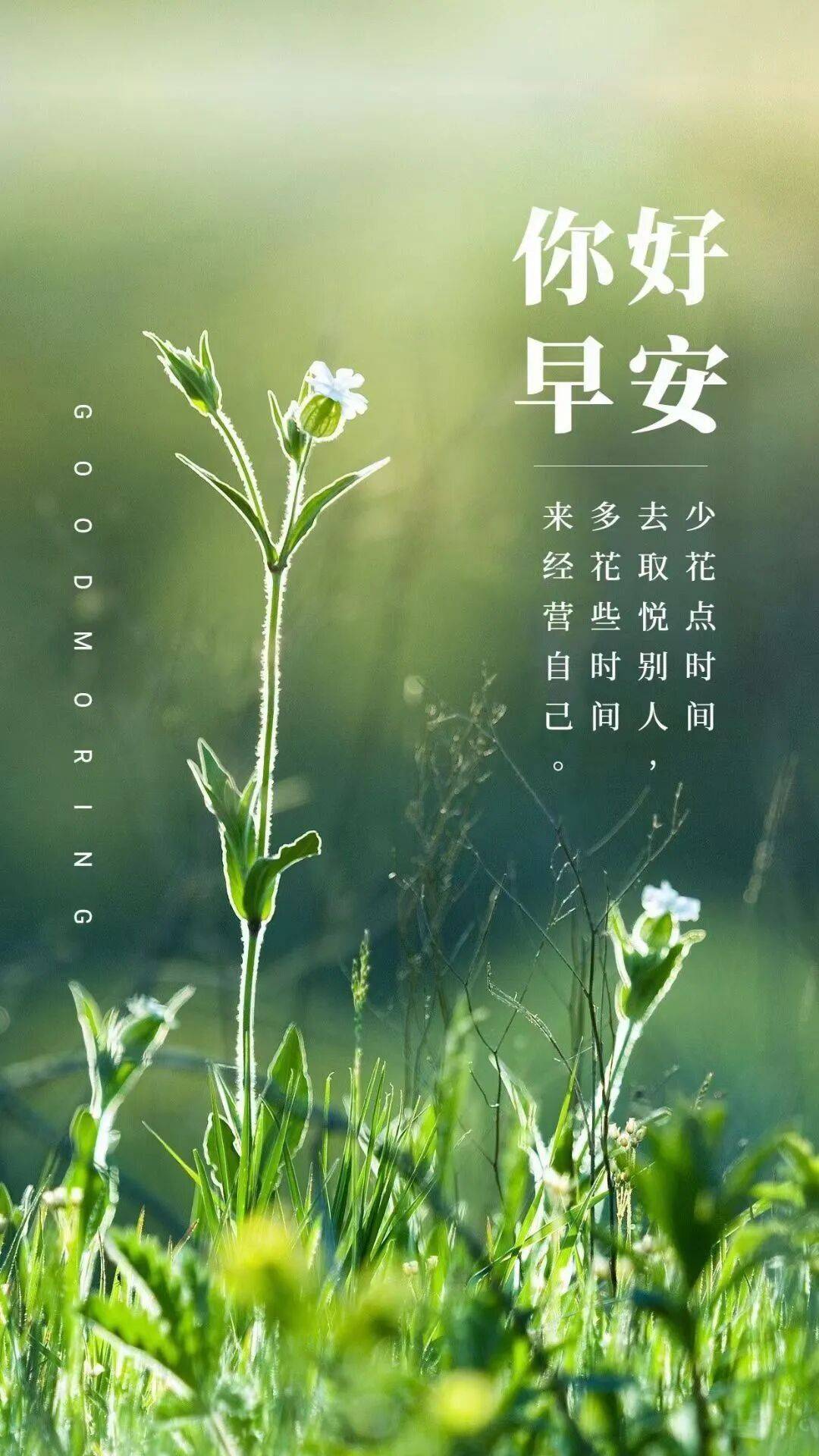 9月30日早安正能量经典阳光语录句子 发朋友圈有哲理的励志人生感悟