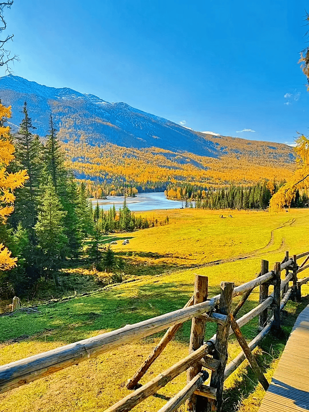 厦门到新疆天山天池包车