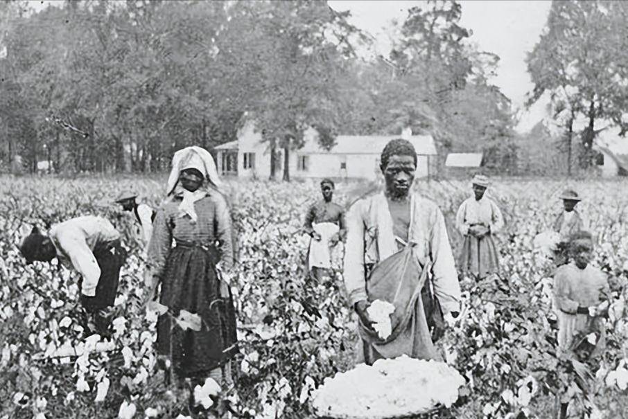 女黑奴的双面性,棉花地里的采摘机器,奴隶主的繁衍工具