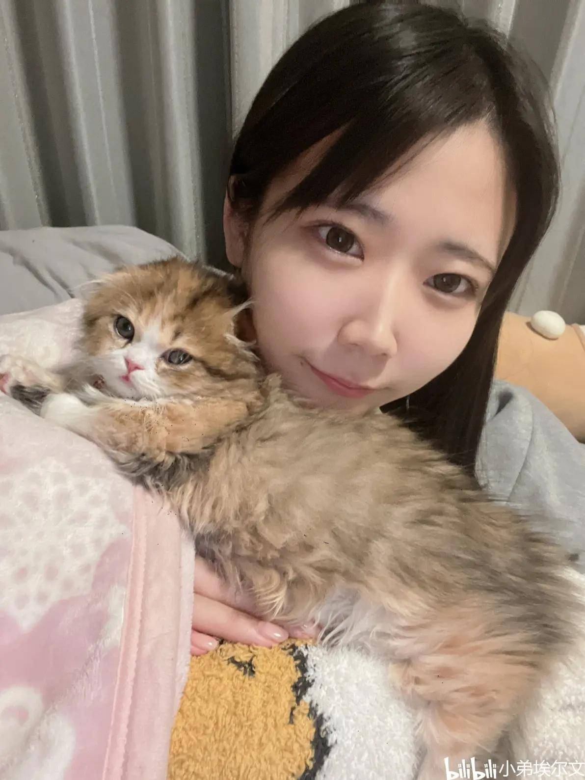 小泽菜穗白上咲花白岩冬萌月野江翠樱柚乃 日本明星动态