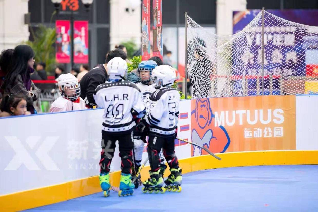 专业冰球竞技场围栏：抗冲击耐低温，应对冰球高速撞击安全需求