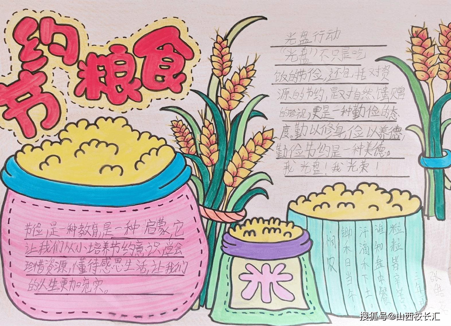 学生结合搜集的粮食知识,节粮妙招,通过手抄报的形式呈现,将粮食安全