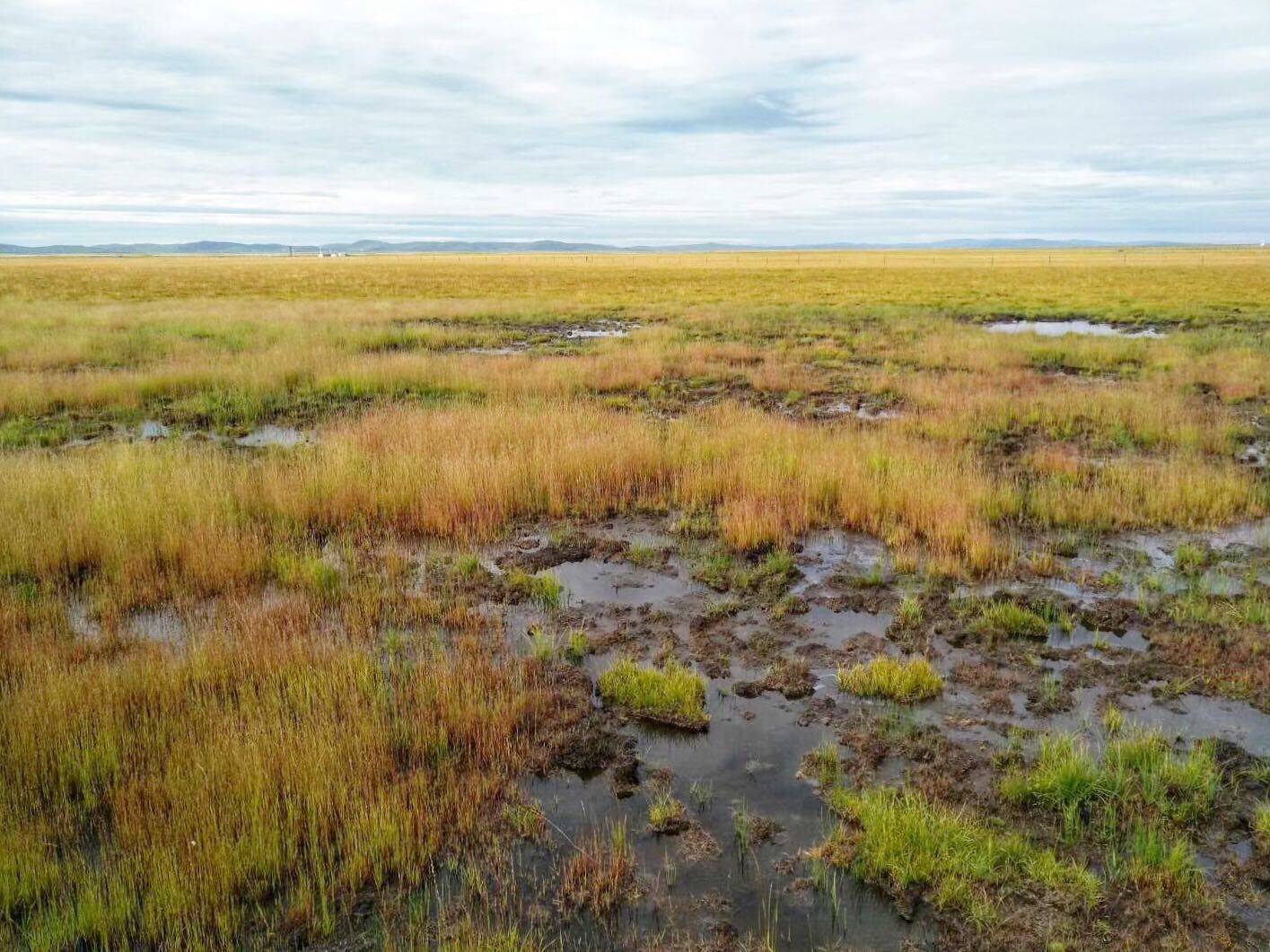 红军长征时那"吃人"的草地,如今过去80多年,现在变得怎么样?