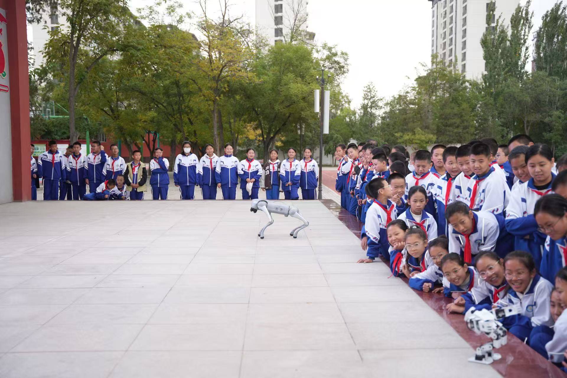 宁夏图书馆"文化传薪火・名家进校园"活动 走进银川市第二十四中学