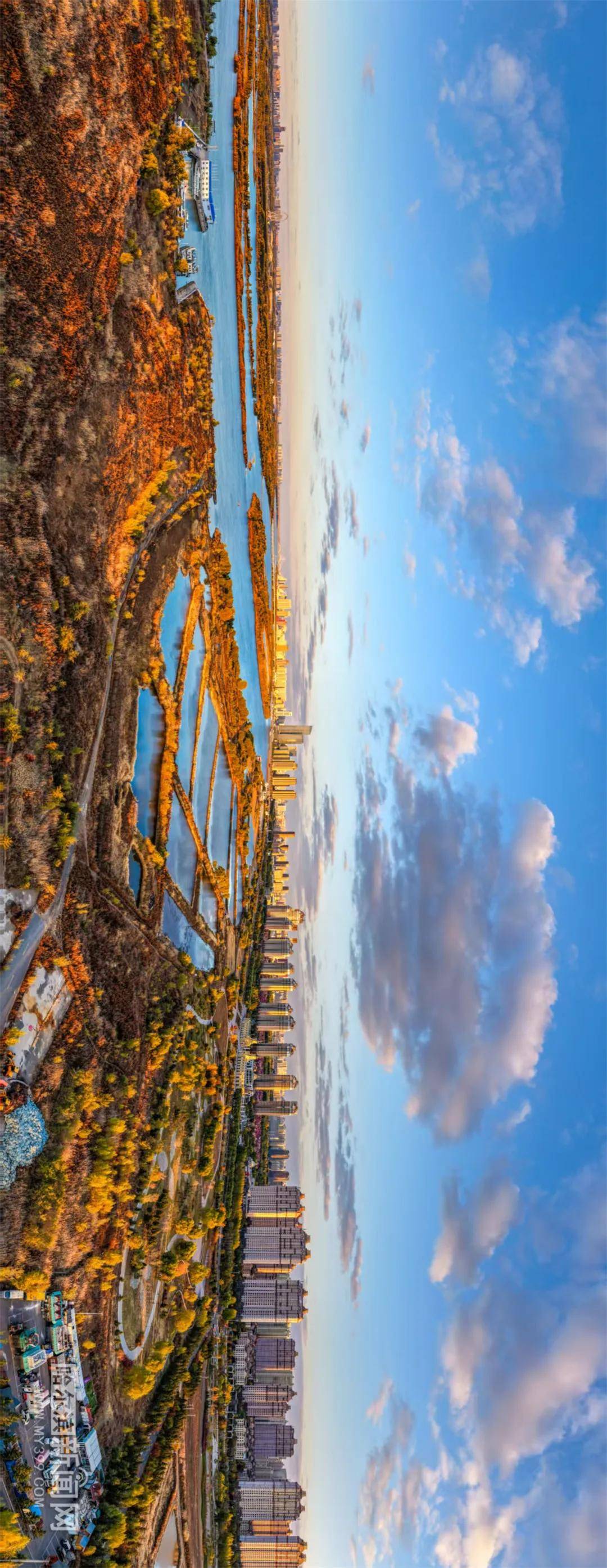 啥尔宾天气在线 啥尔宾天气在线