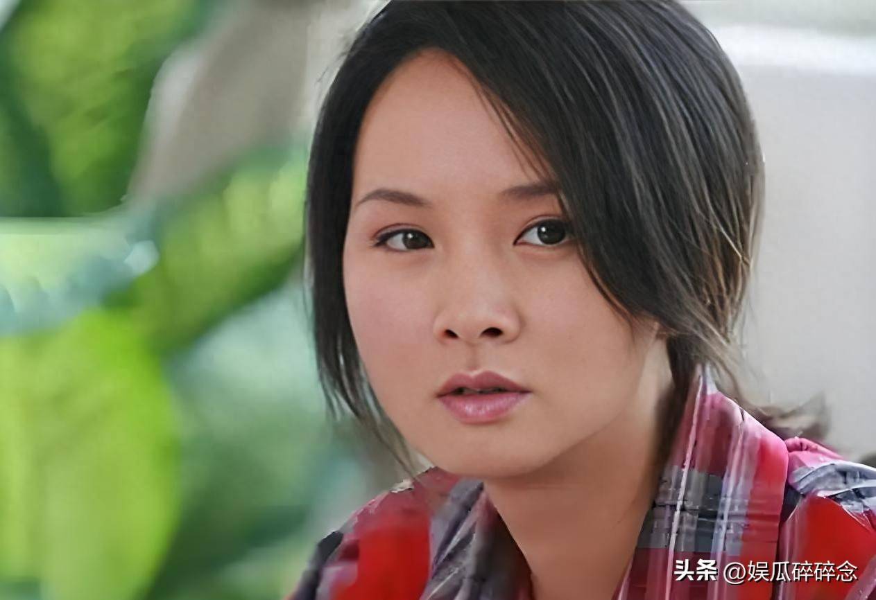 吃里扒外!52岁杨兰回国捞金遭抵制,赴美定居13年终成笑柄