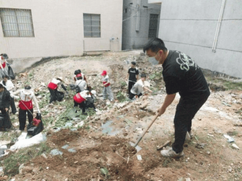 紫金保险广东分公司:环境清洁齐参与,爱国卫生共担当(图3) 紫金保险广东分公司:环境清洁齐参与,爱国卫生共担当(图3)