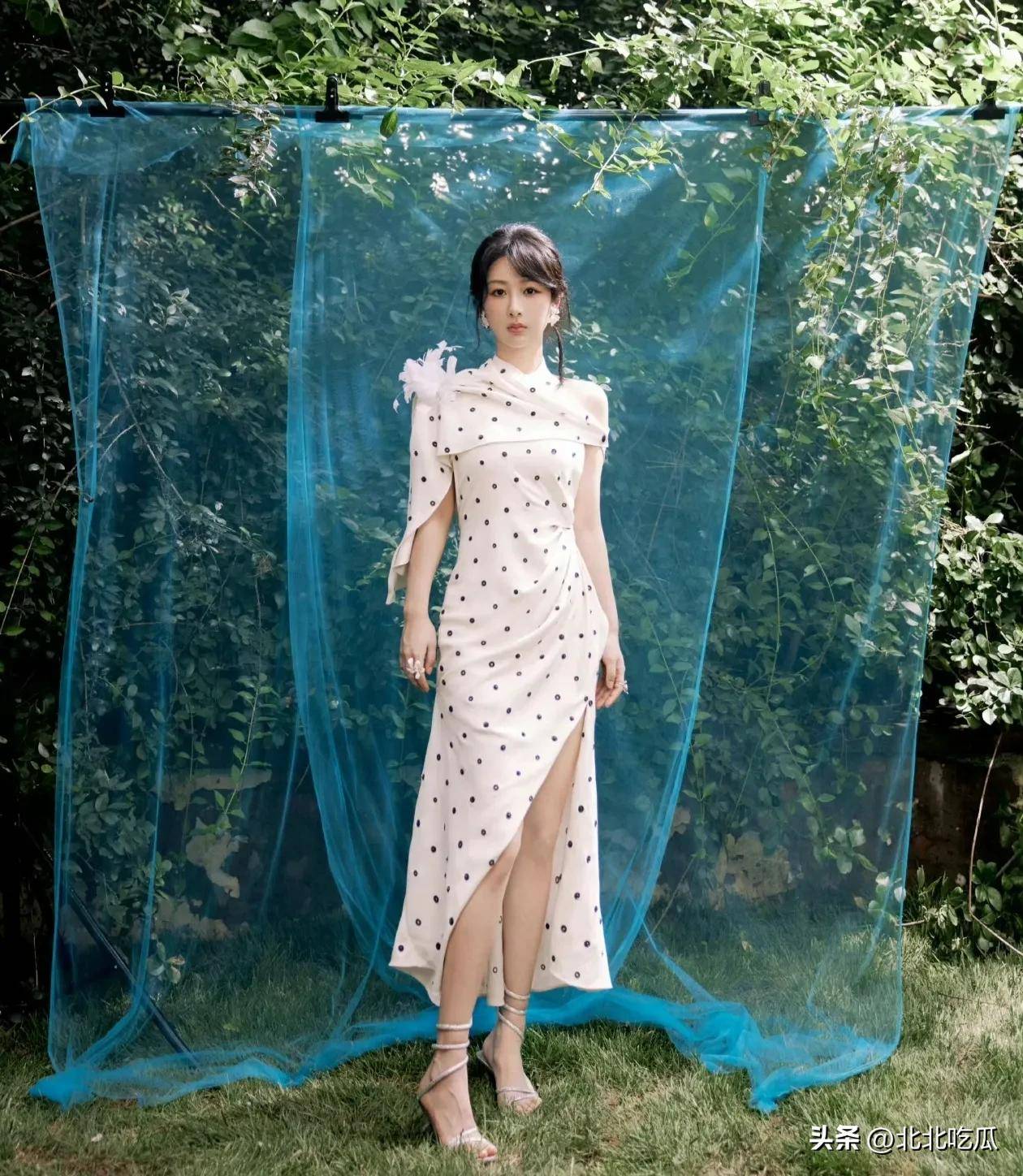 杨紫搭档刘宇宁?汪小菲再当爸?黄子韬求婚成功