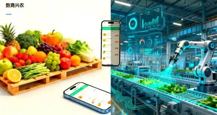 双11观察丨电商终点即起点,行稳致远  双11观察丨电商终点即起点,行稳致远