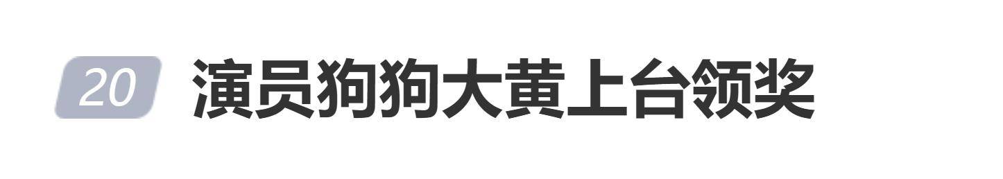 演员狗狗“大黄”上台领奖,主人称其是“专业演员” 插图 演员狗狗“大黄”上台领奖,主人称其是“专业演员” 插图