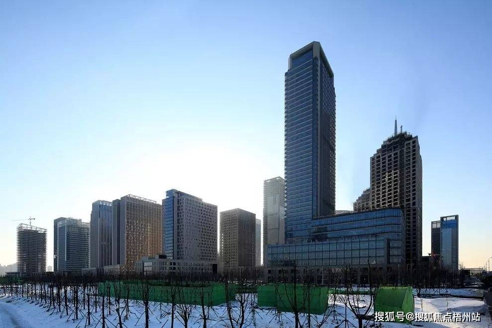 天津滨海华贸中心写字楼综合评估报告:招租与企业选址决策深度分析