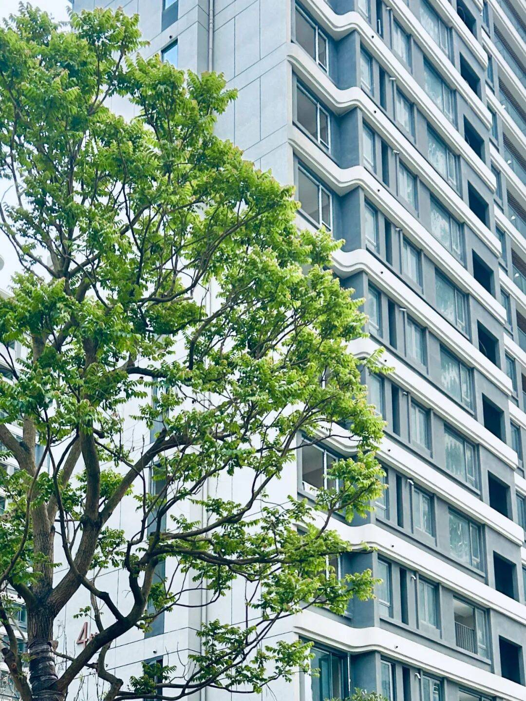 不得不说仅凭立面美感宝龙城就足以站稳东区总部美学标杆的宝