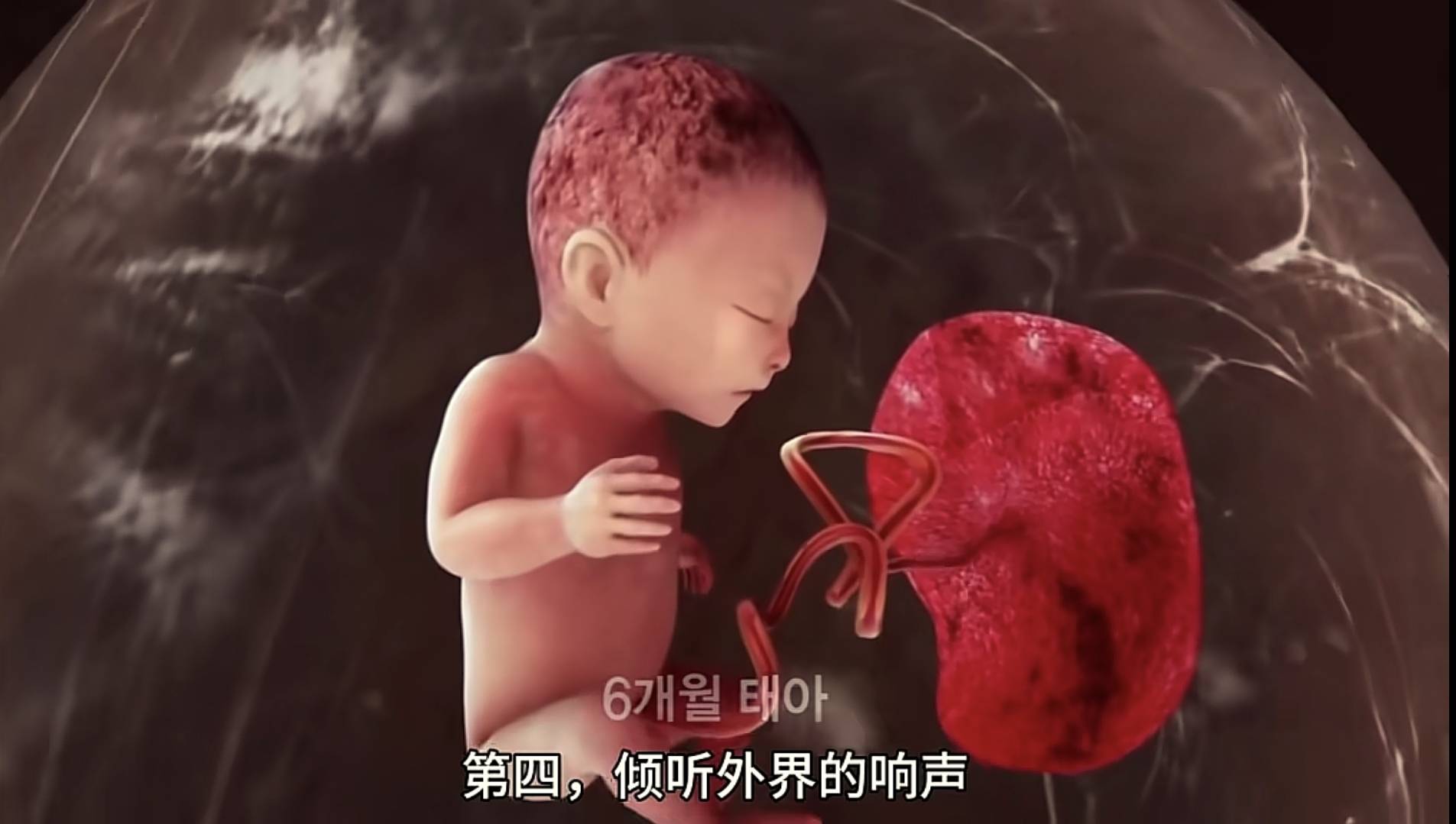 宝宝在妈妈肚子里会无聊吗？一组图告诉你胎宝在子宫里很欢乐