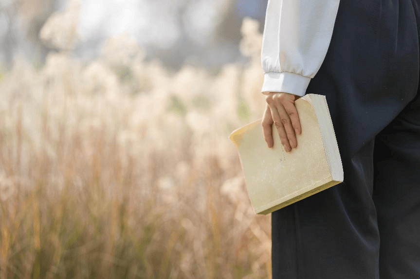 陕西单招面试全攻略！流程+高频问题+避坑指南，看完不慌