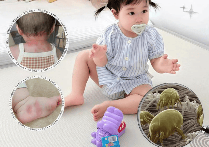 家用除螨仪是否真有用？2025标杆级家用除螨仪前十名排行榜