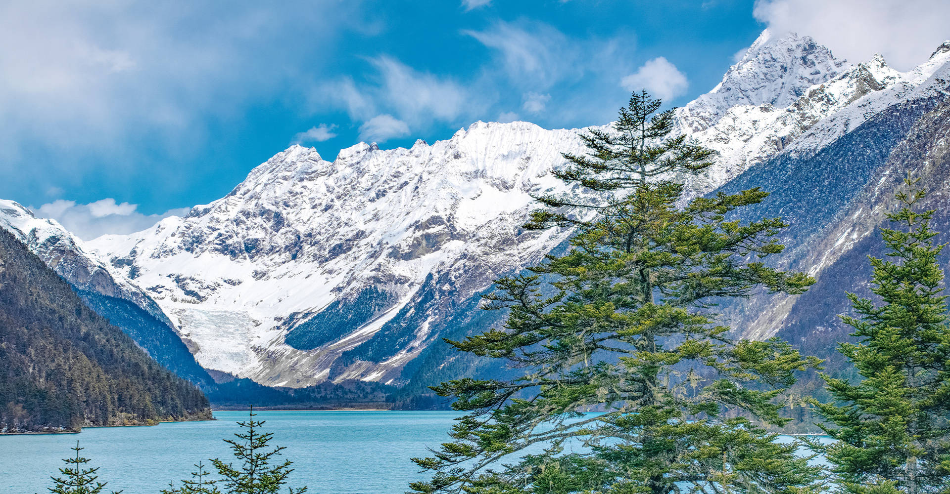 水中偏硅酸的作用是什么？含这类成分的水值得选