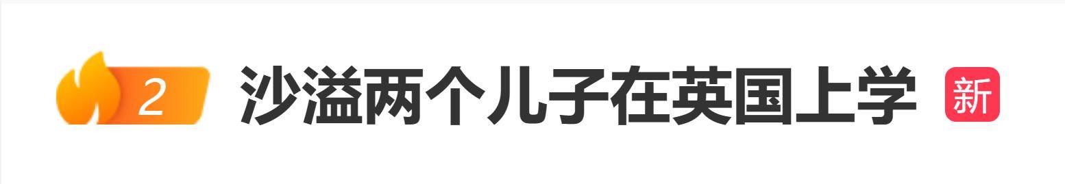 网友曝沙溢两个儿子在英国上学,沙溢胡可频繁现身英国陪读 插图 网友曝沙溢两个儿子在英国上学,沙溢胡可频繁现身英国陪读 插图
