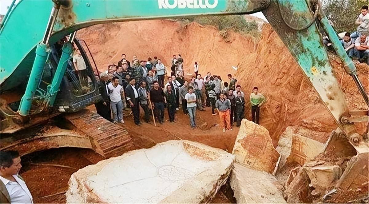 西安出土一古墓,考古学家进墓一抬头,看到一盗墓贼坐眼前