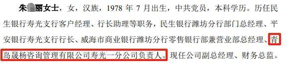 晨鸣纸业近10亿票据逾期:被执行超7亿 副总经理履历涉遗漏(图6)