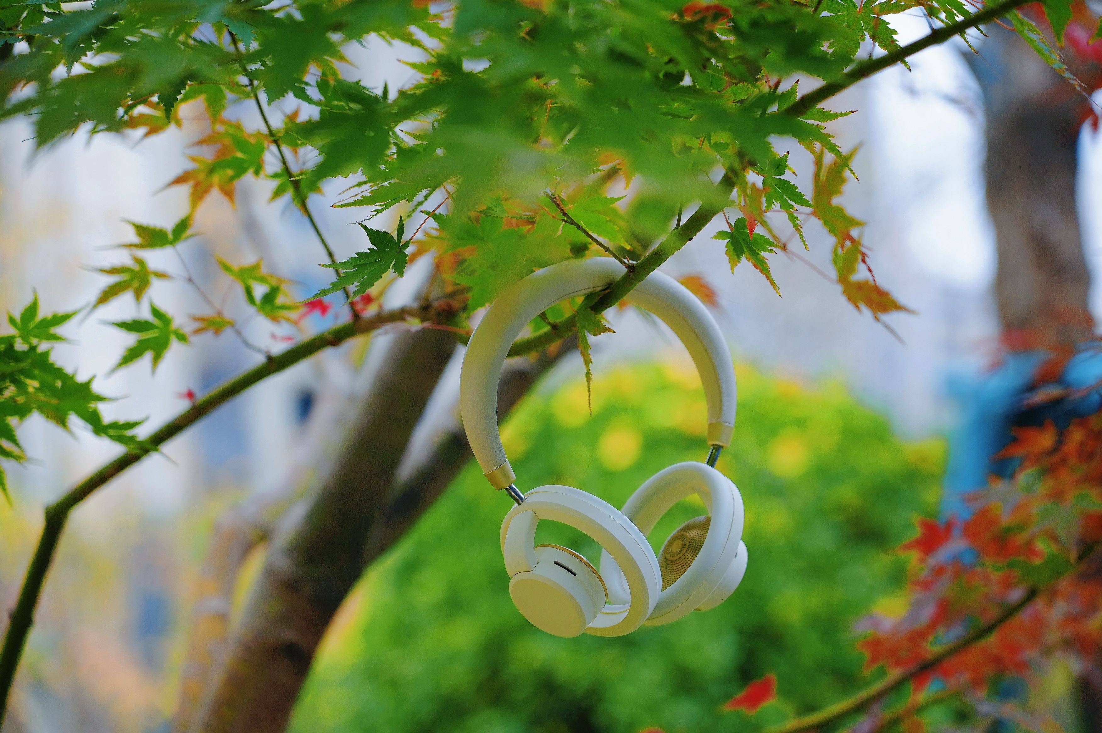 戴6小时耳朵不闷不油!南卡Bolt让我懂了:舒适和音质真能兼得