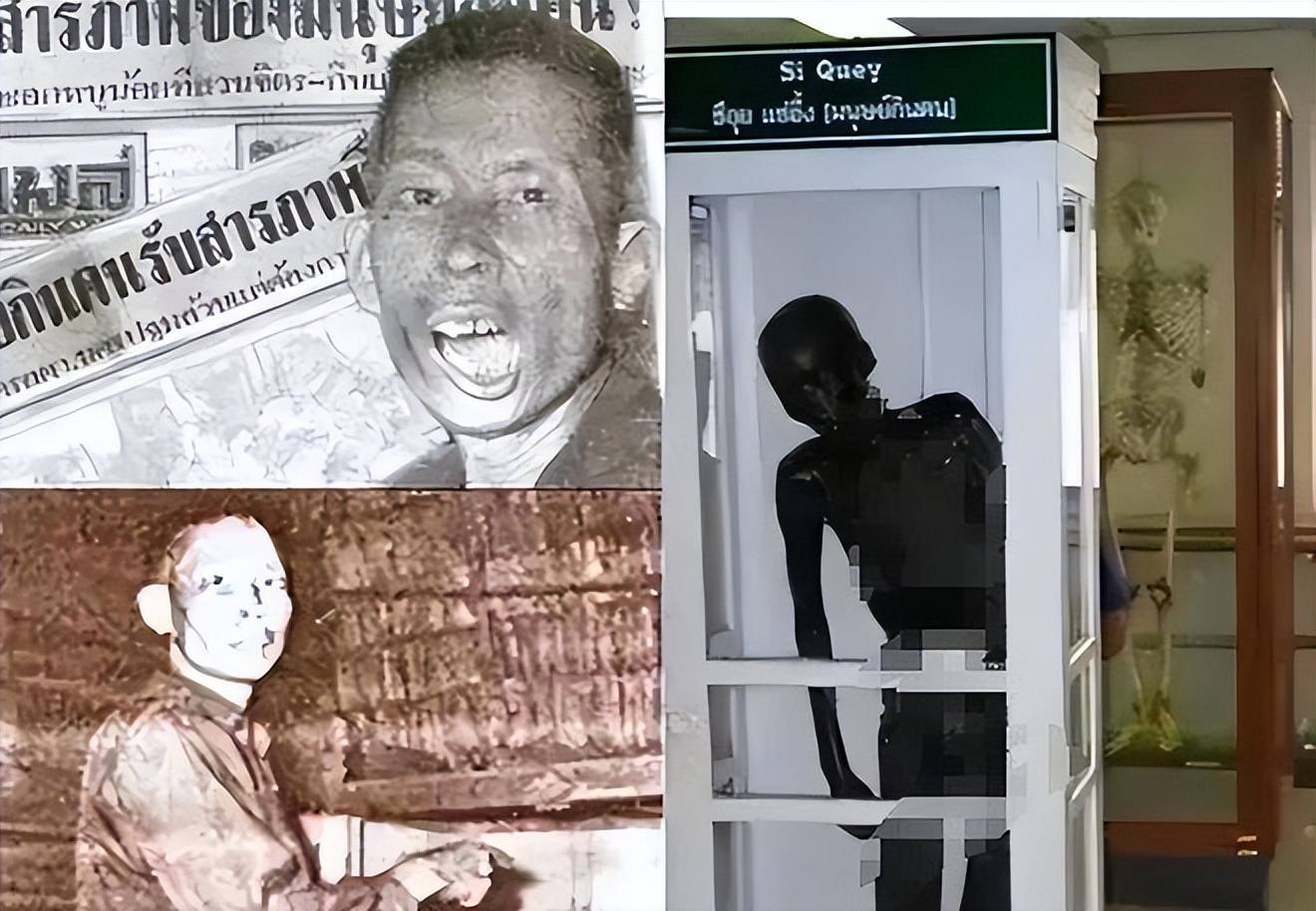 抗日战士黄利辉:被泰国做成干尸61年!罚站博物馆万人唾骂食人魔