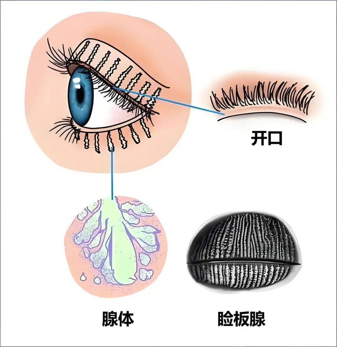 眼部热敷的作用轻微的眼睛不适其实不需
