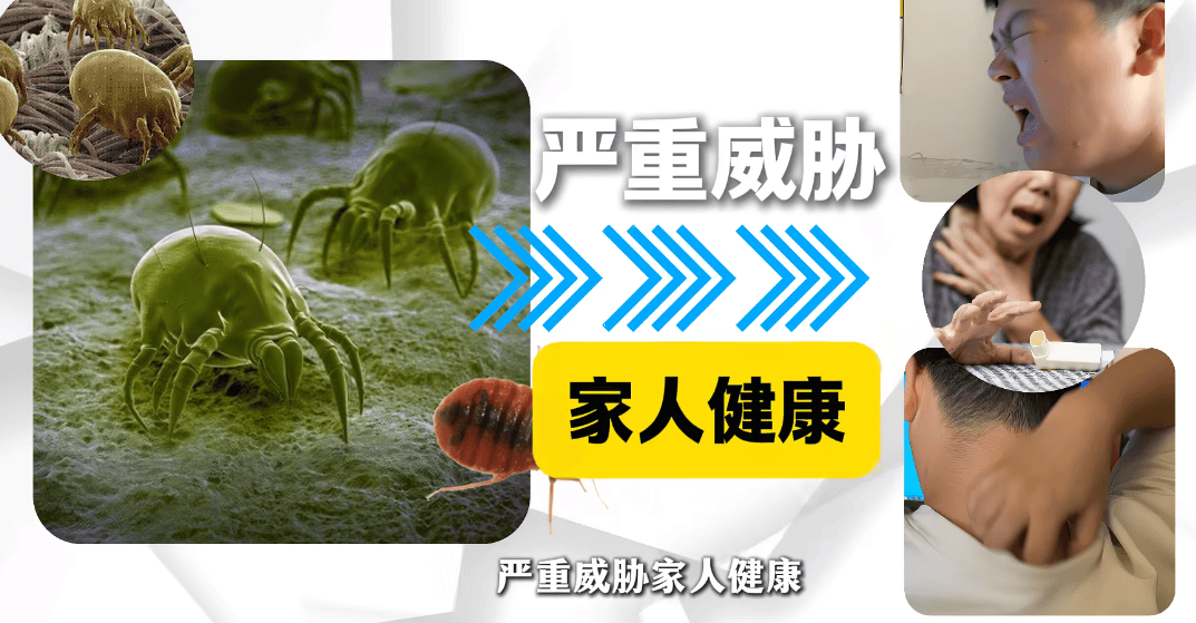 家用除螨仪有用吗？除螨仪哪家比较好？权威实测十大排名除螨仪品牌，家用款优选！