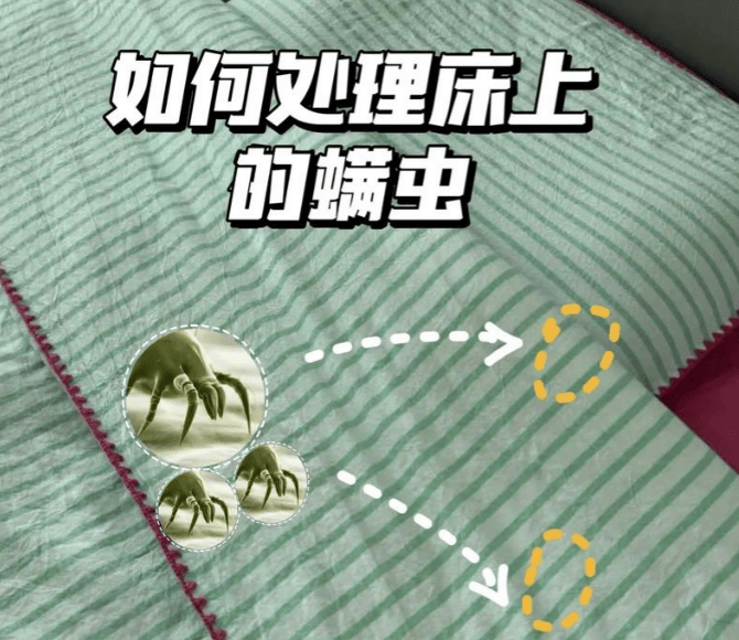 床铺除螨用什么方法最好？床上除螨仪有必要买吗？精选2026十大排名除螨仪品牌推荐！除螨高效又省心