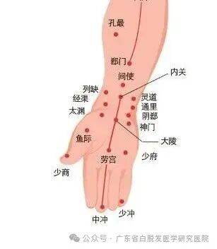 生活压力别硬扛,广州恒健白发专科罗教授分享!