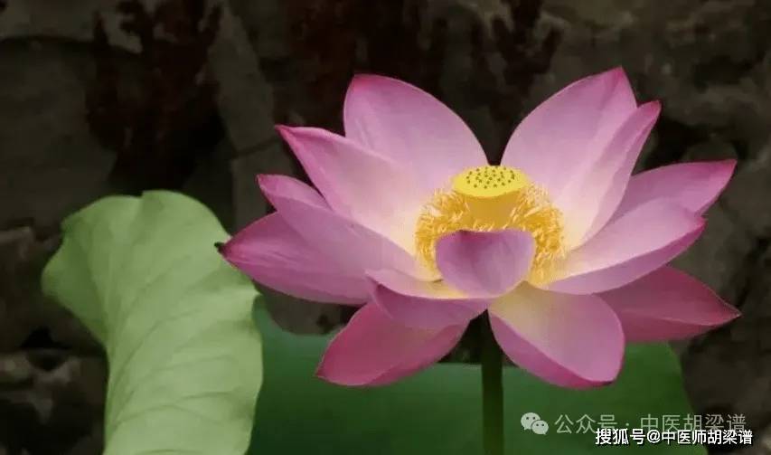 什么是反向型银屑病？