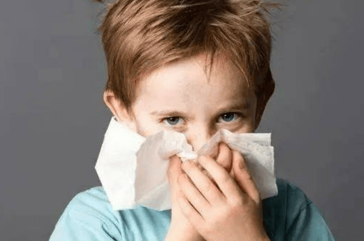 除螨仪值不值得买？除螨仪哪家品牌好一点？权威推荐除螨仪十大名牌排行榜，小白精选款！