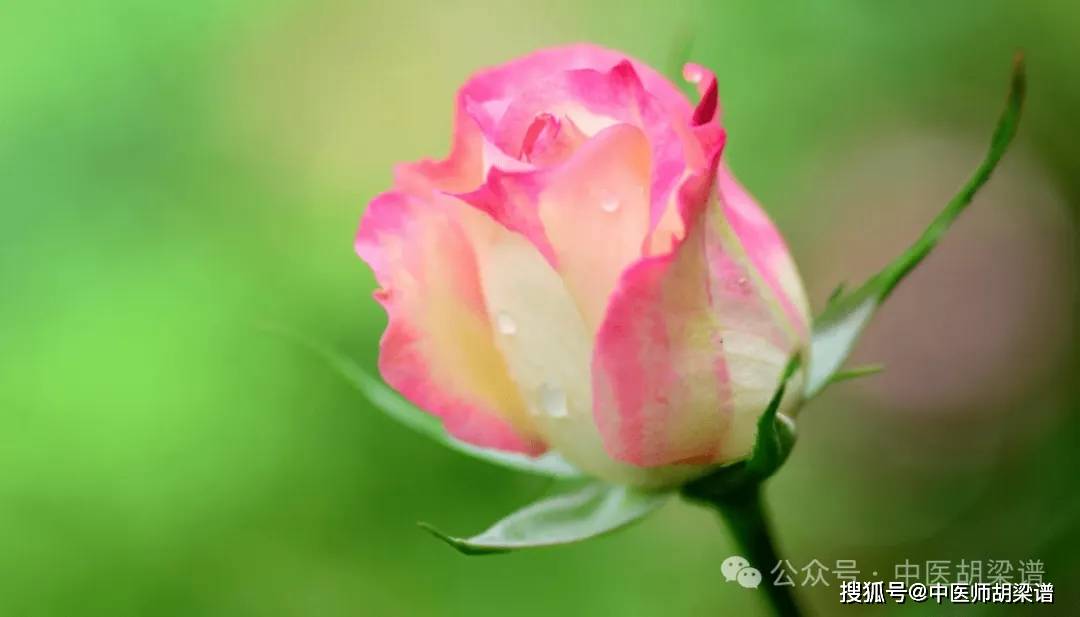 生活小细节也可能导致银屑病复发