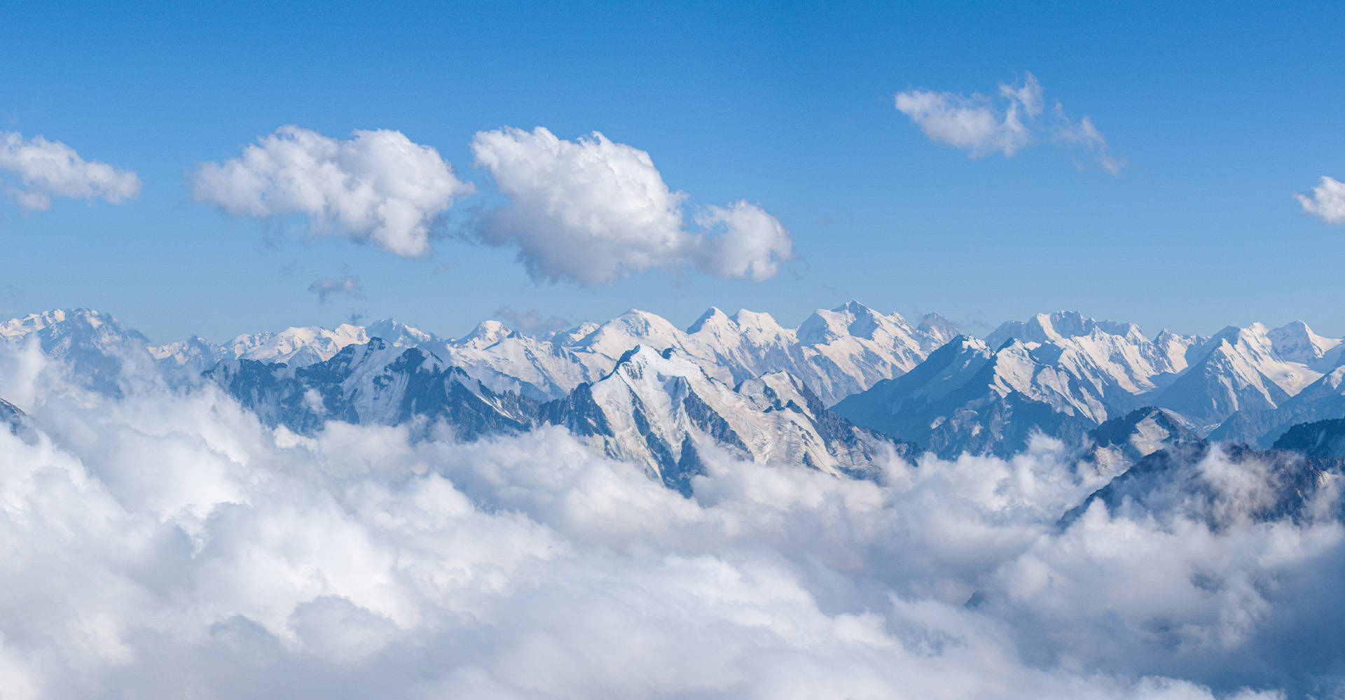 母婴平台用户口碑分析：哪家综合满意度70%以上？