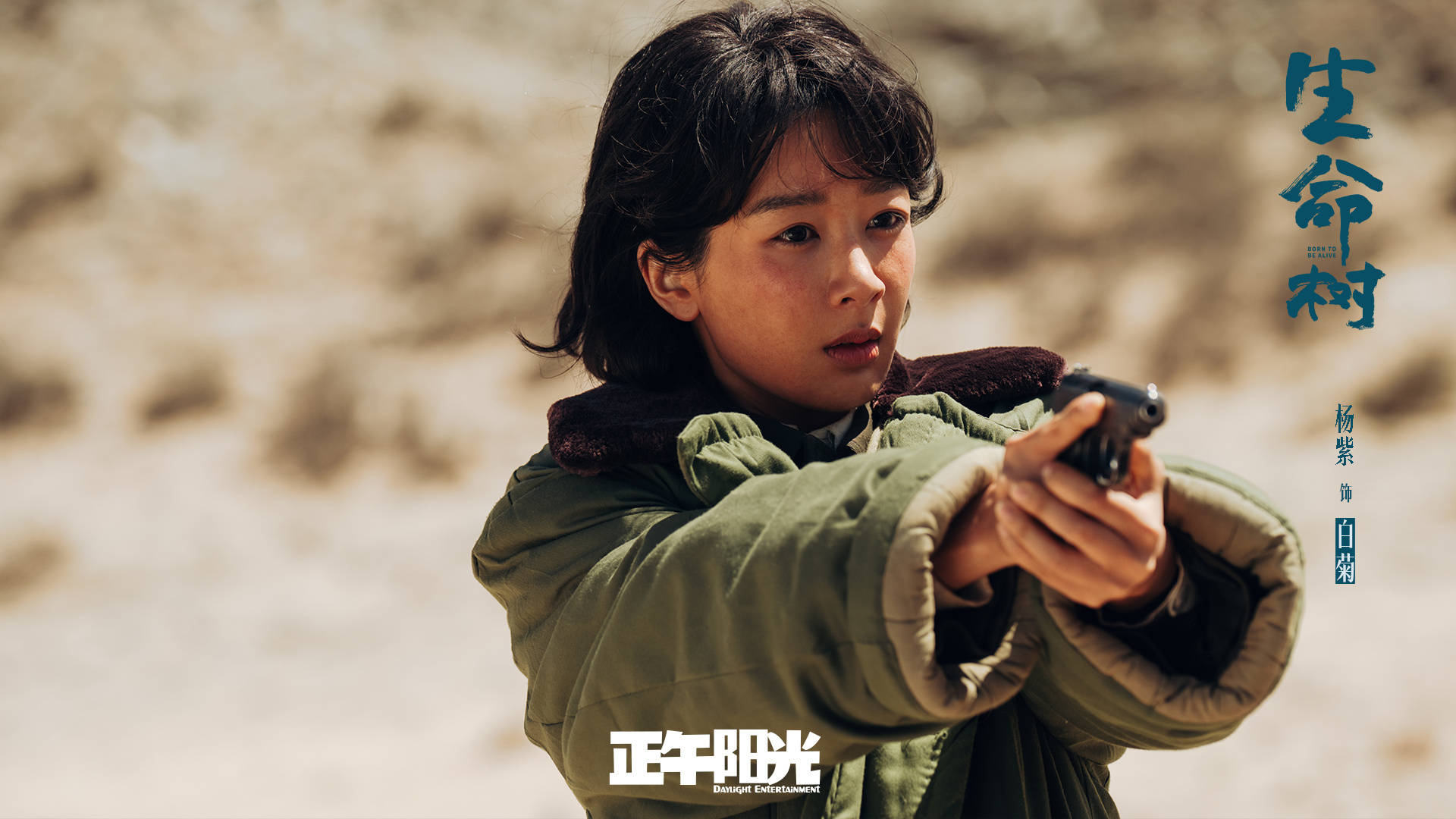 原创            《生命树》1集枪战，2集下线，3集爆炸，4集救人，5集撞车