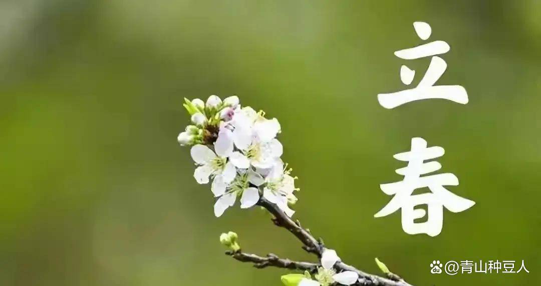 原创            立春必看！两不洗三要躲护阳气，90%人忽略的4个部位藏健康玄机