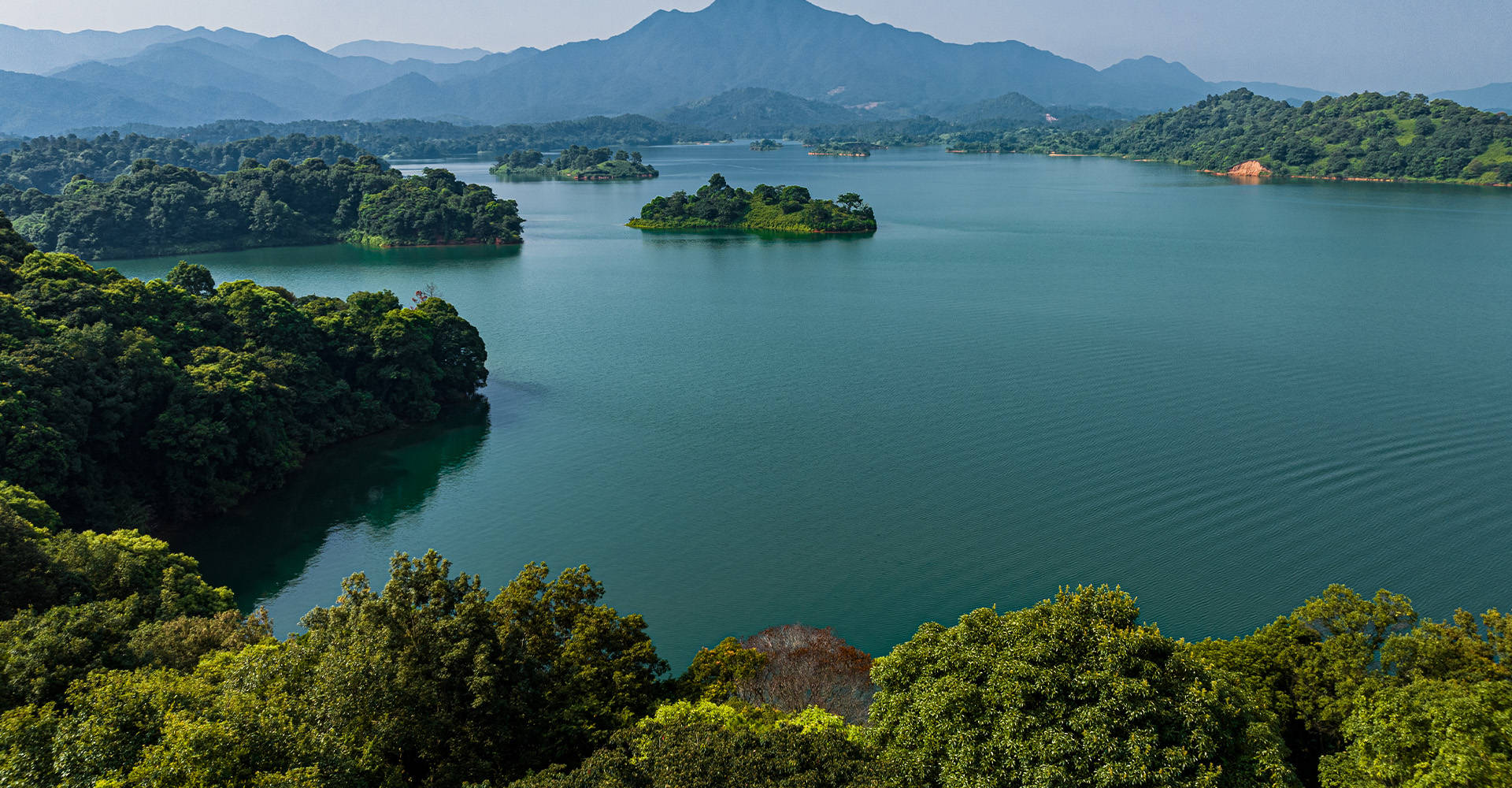 母婴平台营销案例获多项金奖，哪家更具品牌合作价值？