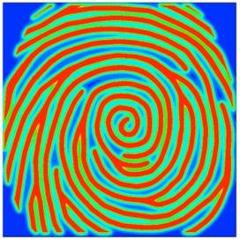 [TechwizD和TX液晶显示软件] TRCX应用：显示面板电容指纹分析 的图2